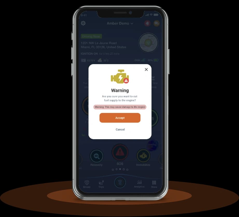 Engine Immobilization